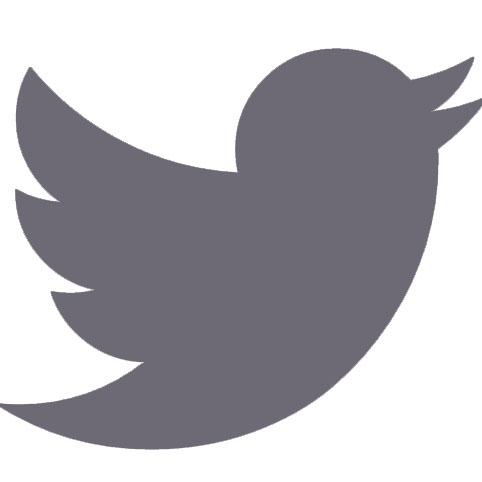 Twitter icon